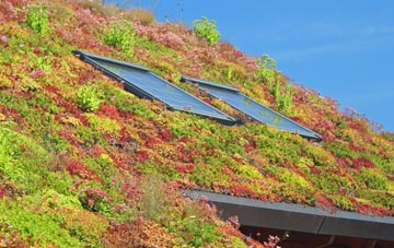 Vale Down living roof systems
